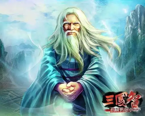 三国演义哪五人能入选最佳阵容