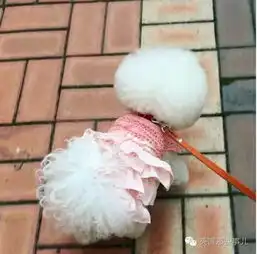 脑袋上永远顶着棉花糖的汪星人这样的比熊你见过吗