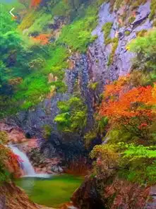 老君山落雪了一年四季都是美不胜收