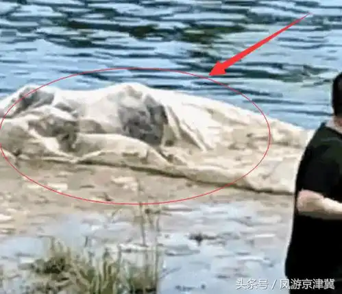 廊坊龙河水面惊现不明浮尸已确认身亡