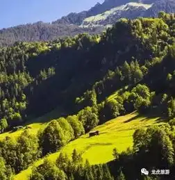乐享假日,我们还可以这样玩