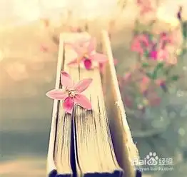 怎么样读书读书需要注意什么