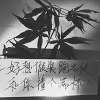 测试一个超长简介的文章