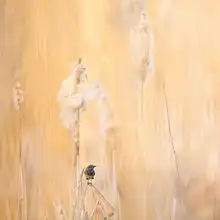 方片下的视界方形照片的独特魅力