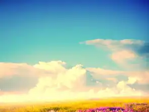 野花草地精美花海天空唯美风景植物图片素材模板下载7.03mb其他大全标志丨符号