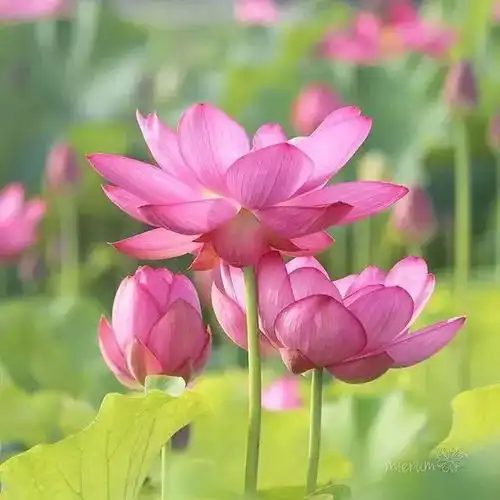 天空依旧,蓝色依旧,心阴,天则不蓝,早安生活