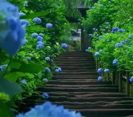 看腻了大城市日本10处超赞自然美景,美爆朋友圈