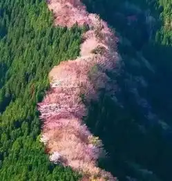 你陪我一程,我记你一生深度好文