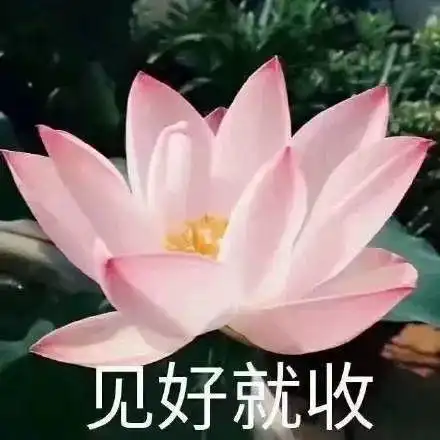 佛系莲花头像图片大全佛系莲花头像带字图片大全高清免费预约v1.0嗨客手机下载站