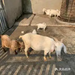 电话,地址,价格,营业时间上海周边游
