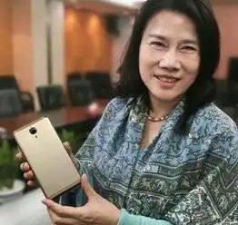 狂人董明珠手机失败,造车折戟,搞芯片能成功吗