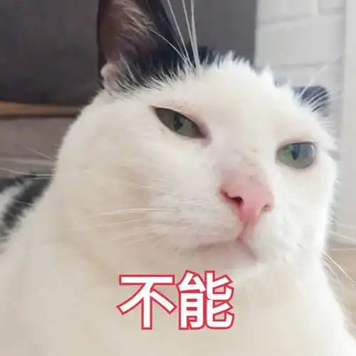 约p无套后,什么时候查得出性病怀孕