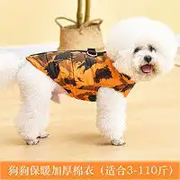 voa狗狗服饰voa狗狗衣服秋冬款小体泰迪比熊博美小型犬冬季宠物2023新款四脚服装多少钱