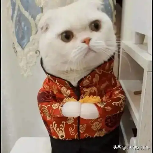 无限拖更的四大网红有人一月一更,有人断更两年