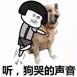 2019七夕情人节怎么过