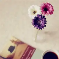 测试一个超长简介的文章