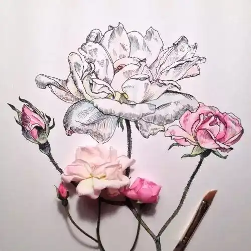 简单易上手的针管笔手绘,你还不来学
