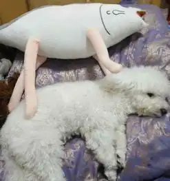 测试一个超长简介的文章