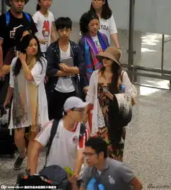 伊能静携儿子现身机场少交流小哈利变大男孩