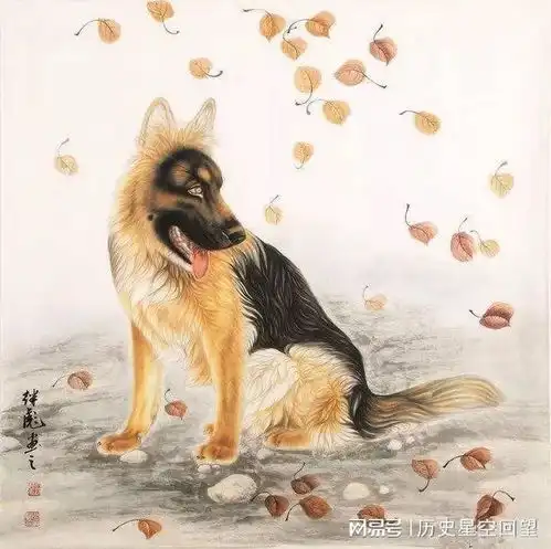 爱妻如命的三大生肖男,爱上就离不开老婆,老婆永远排在第一