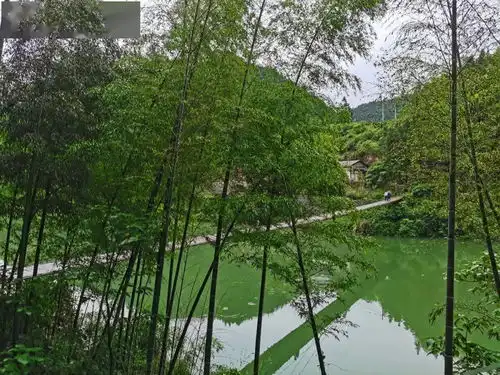 测试一个超长简介的文章
