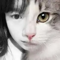 是你让我明白美好的存在与含义