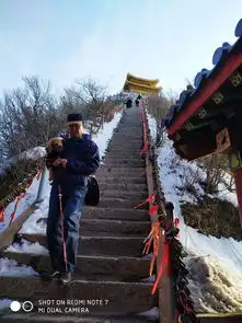 洛阳初春2日游老街洛邑古城老君山白云山