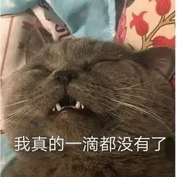 破事水今天又是普度众生的一天