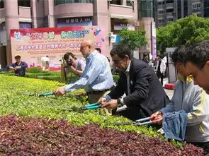 热心老外诺扬的中国心愿要为上海建设贡献到底