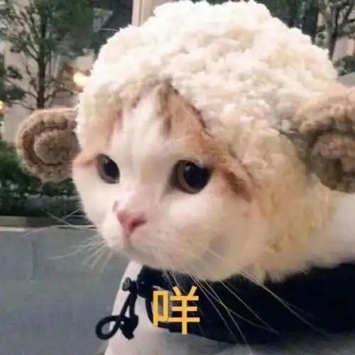 关于保养皮肤