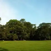 南方公园高清头像