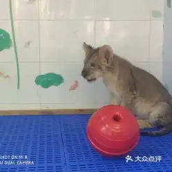 电话,地址,价格,营业时间上海周边游