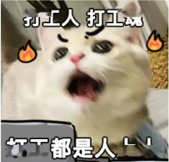 看来你能漂亮地拿走职场s卡