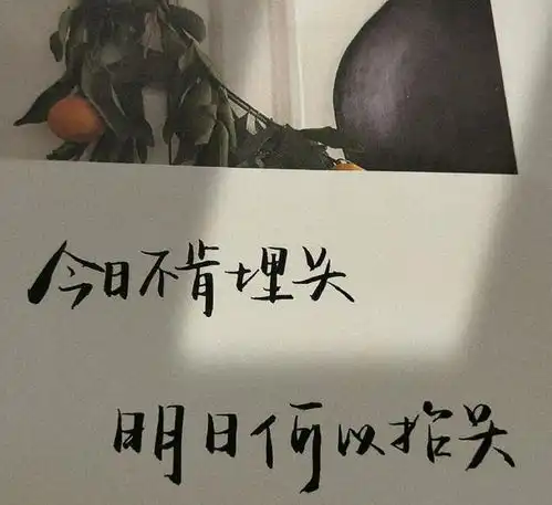 暖心文案只要你走出舒适圈,才能看到不一样的风景