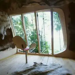 玩隐身的森林小屋图片