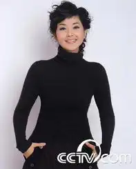薪酬优势让央视主播心动方琼接档谢娜争当一姐
