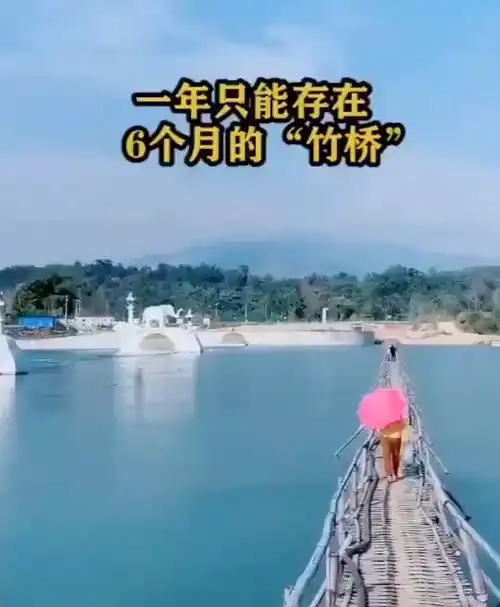 测试一个超长简介的文章
