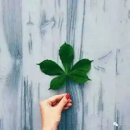 人生,难得一知己
