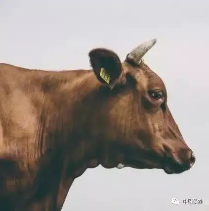 测试一个超长简介的文章