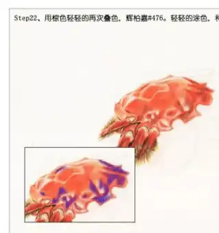 彩铅手绘入门手绘美食大闸蟹,零基础彩铅画入门教程