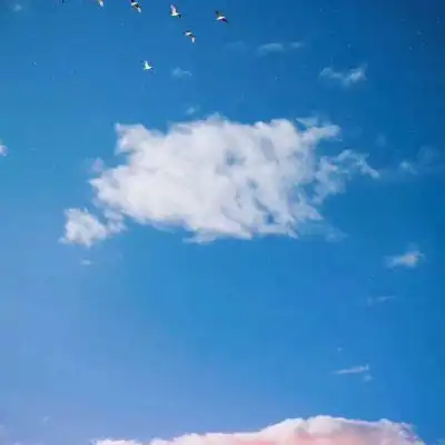 测试一个超长简介的文章