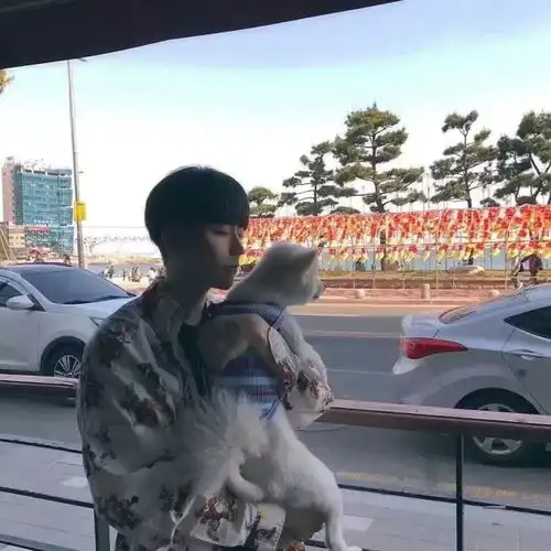 将喜欢的一切留在身边便是努力的意义