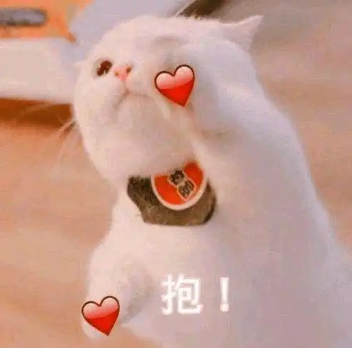 壁纸你们想要的微信封面图,我发还不行吗