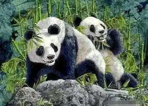 月经刚走,一件事急不得,一件事拖不得男人不注意,女人要遭殃姨妈