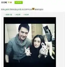 送完心形石送手工兔网友赞李晨动手能力强新闻频道