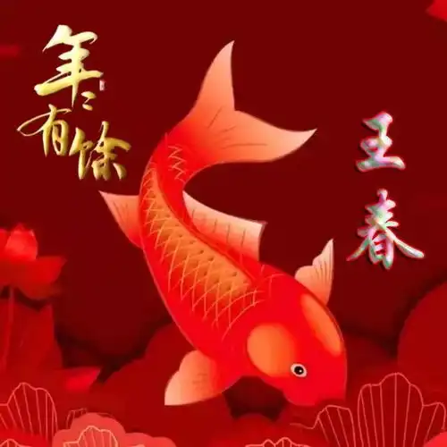 红色喜庆祝福类姓氏微信头像年年有余