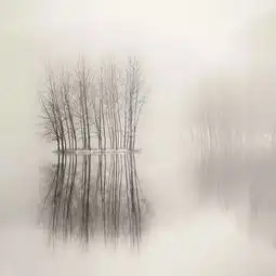 有一种摄影意境叫留白