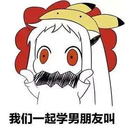 无水印分享