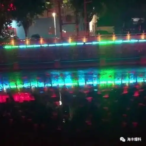 海丰龙津河水面上出现大批鸟类