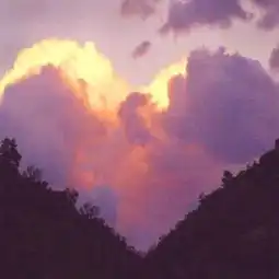 网易云热评当我高举理想的火炬天空却刚好下起了大雨